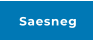 Saesneg